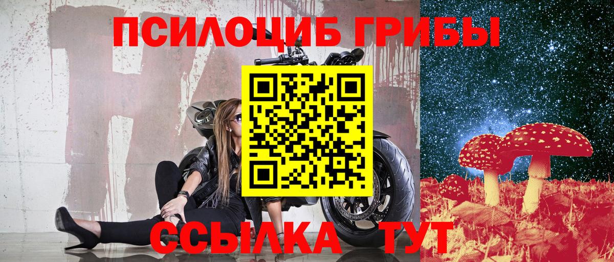 Псилоцибиновые грибы Psilocybine cubensis Феодосия